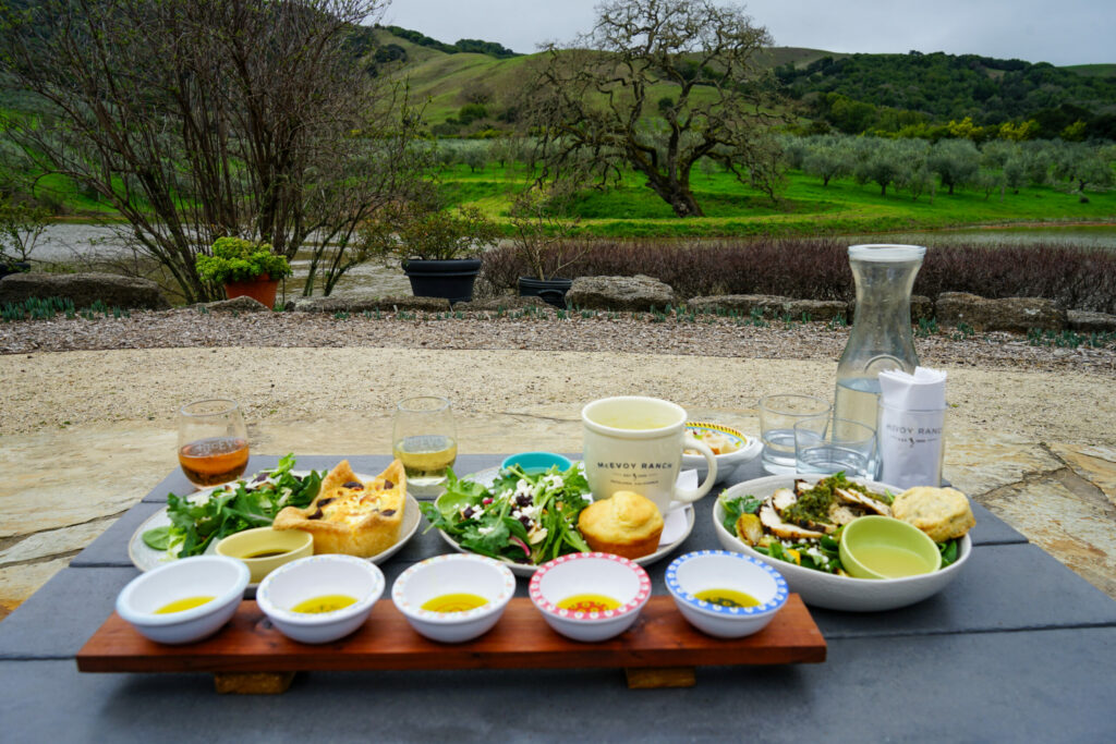Olive oil tasting and food pairing at McEvoy Ranch in Petaluma. (Sonoma County Tourism)