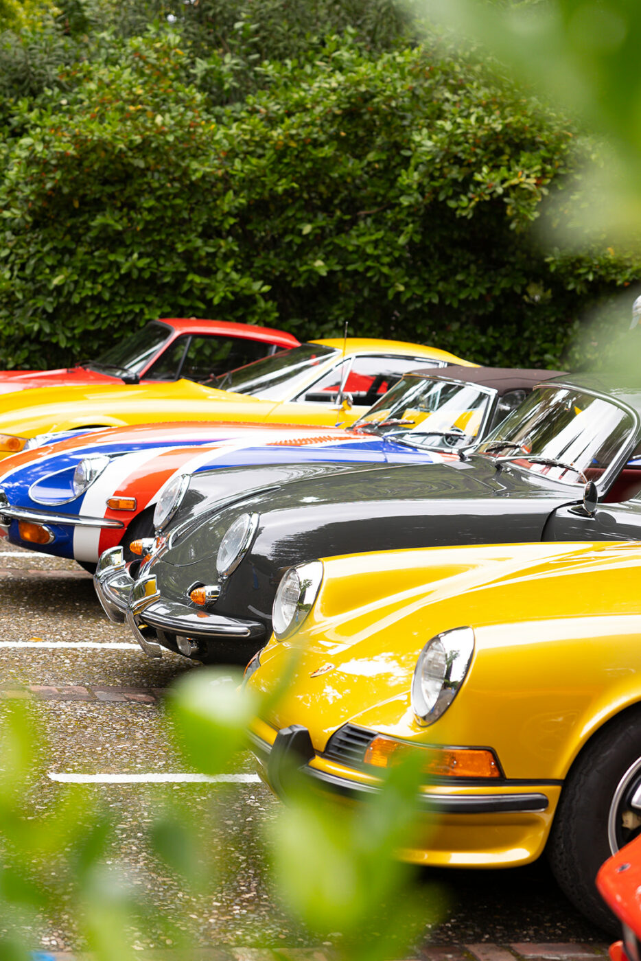 Line up of vintage cars at Napa Valley 750 in St. Helena
