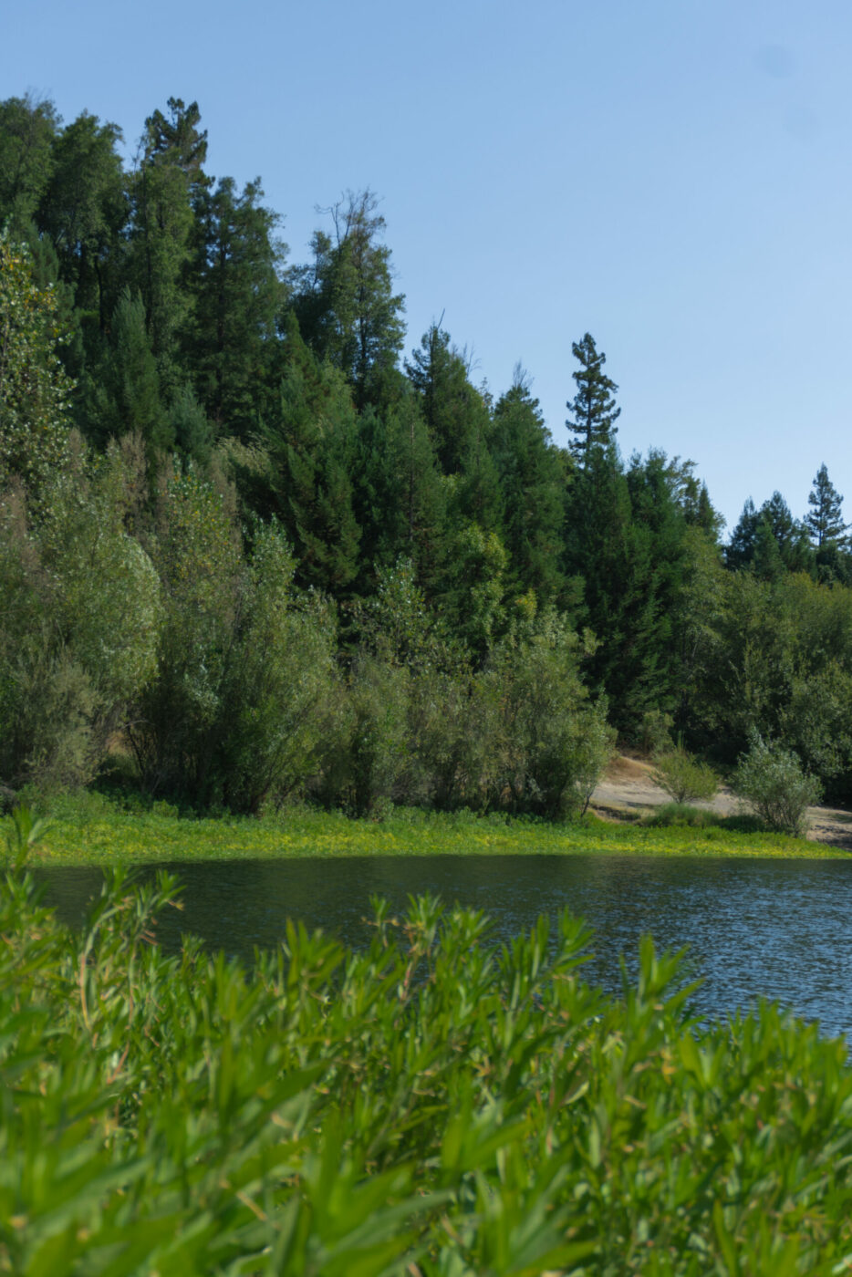 Riverfront Regional Park