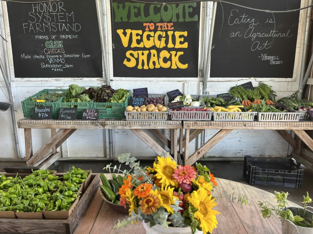 Farmer Patrick Krier’s Suncatcher Farm