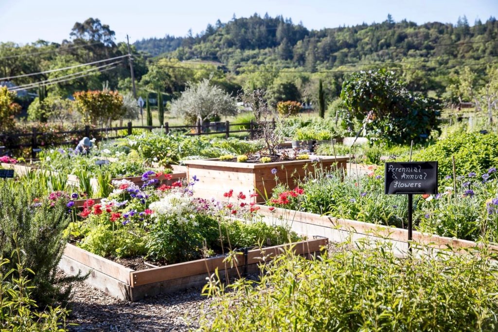 The garden at Quivira Vineyards in Healdsburg