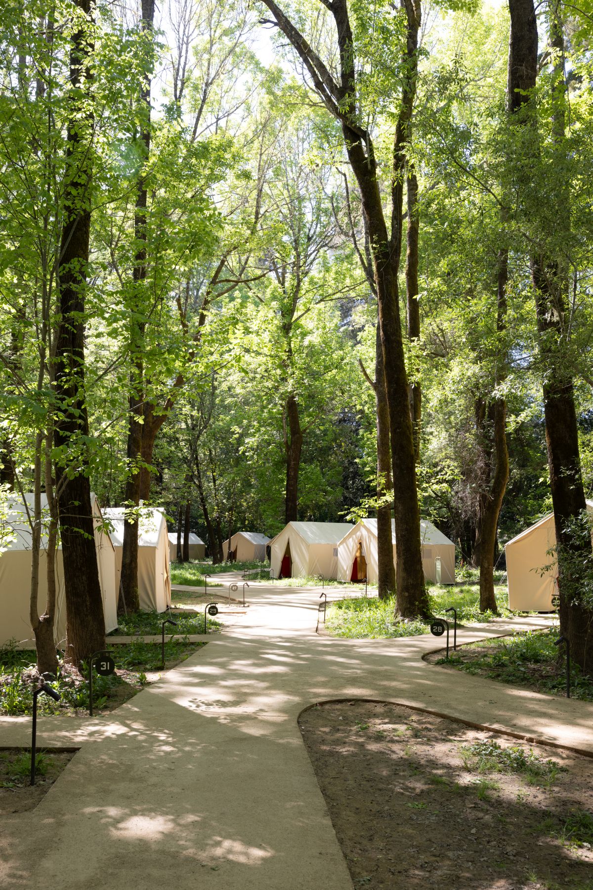 The River Electric in Guerneville