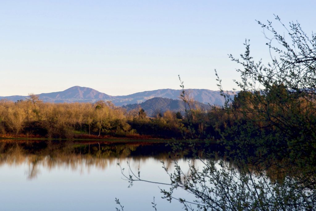 Four Favorite Fall Hikes in Sonoma County
