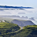 Compare clam chowders along the coast, nibble on fresh cheeses amid the green pastures of west Petaluma, or take in wildflower season just outside of Healdsburg. 