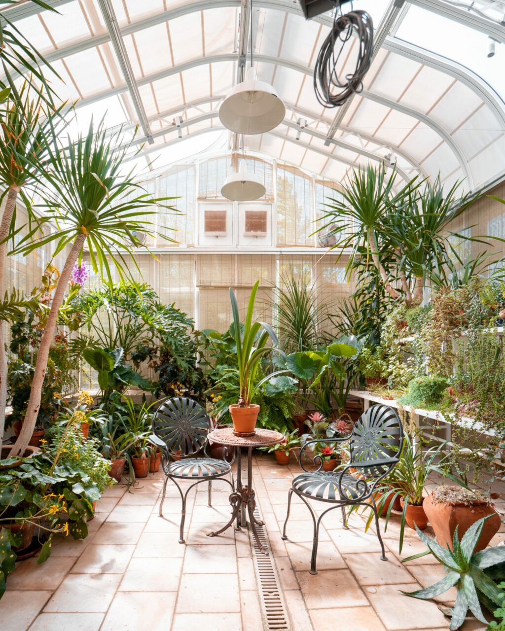 McEvoy Ranch Petaluma garden