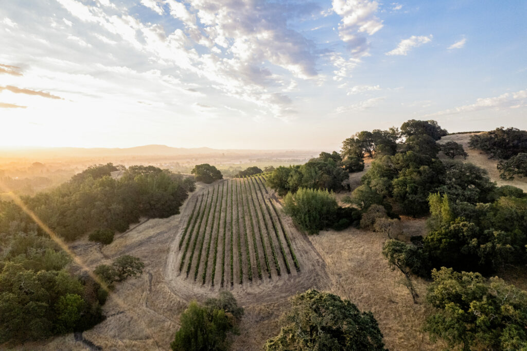 Durell Vineyard in Sonoma. (Dan Quiñones/Courtesy Three Sticks Wines)