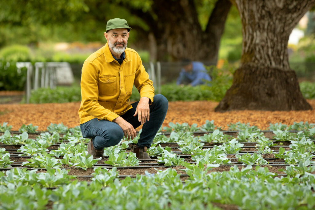 Kendall-Jackson culinary garden