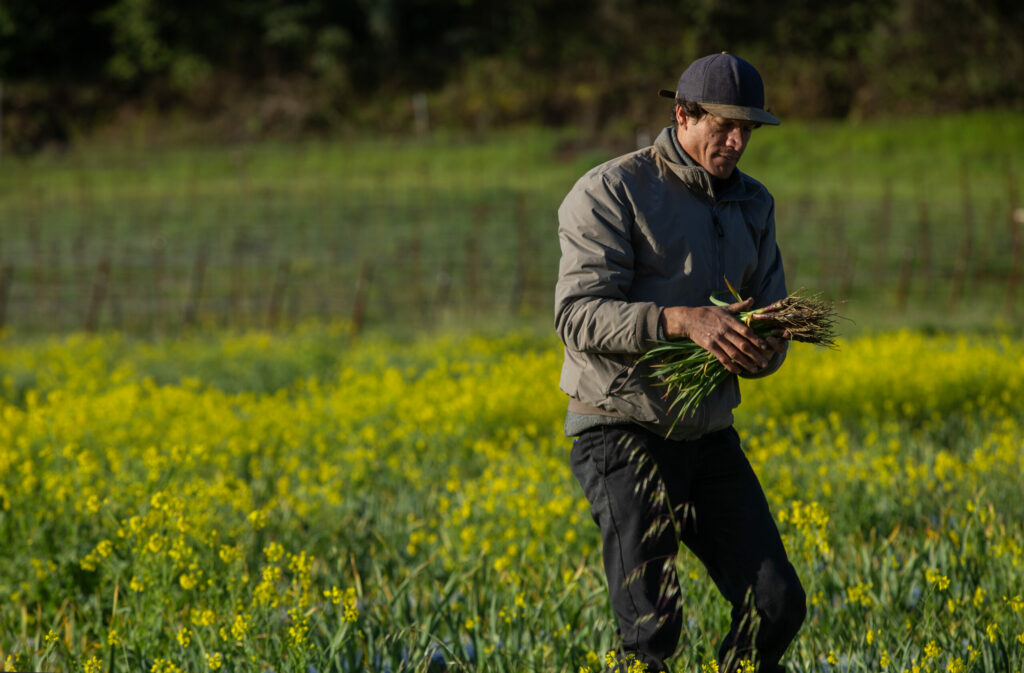 Zureal Bernier, grower at Bernier Zinyard in Sonoma County