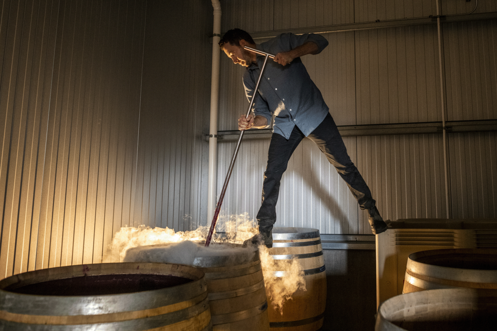 Chenin Blanc wine in Sonoma County